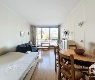 LOUISE WIJK - Prachtige 28m² Gemeubileerde Studio - Foto 1