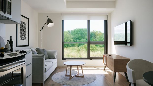 Chase gold, Find Ori - Photo 1