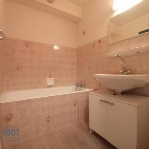 Location appartement 1 pièce 26 m² à Sallanches (74700) - Photo 3