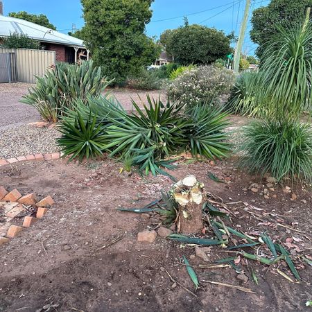 Dubbo - Photo 4