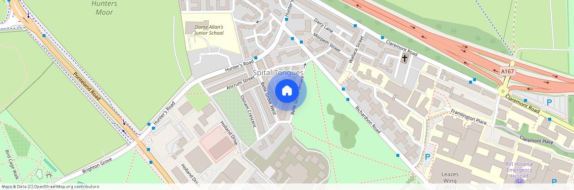 Belle Grove Terrace, Spital Tongues