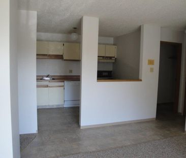 2 Bedroom Apartments – Lake Pointe Condos - Photo 3