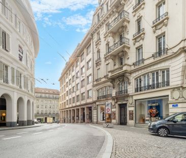 Au coeur de Lausanne - Photo 2