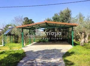 Κτίριο για ενοικίαση - Πύργος, - Photo 4