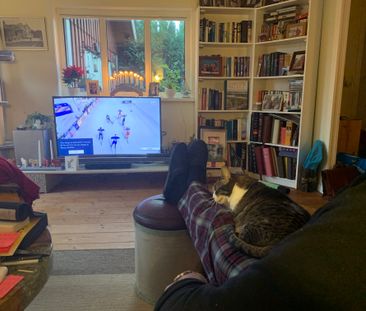 Ubbalt hus ett, Vittsjö - Photo 2