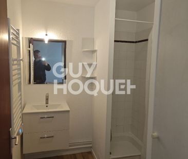 APPARTEMENT TYPE 1 RENOVE SAINT MICHEL METRO PALAIS DE JUSTICE - Photo 4