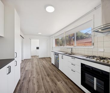 Freshly Renovated Home with Modern Updates - Photo 3