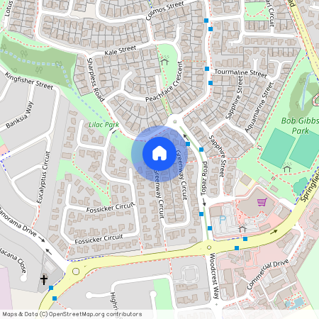 4 Greenway Cct, Springfield QLD 4300