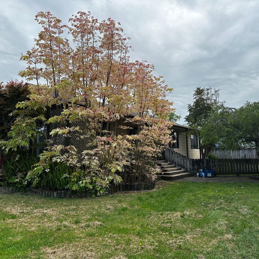 4 Armitage Place, Tuakau - Photo 1