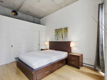 1200 Rue St Alexandre, Montréal (Ville-Marie), QC H3B - Photo 5