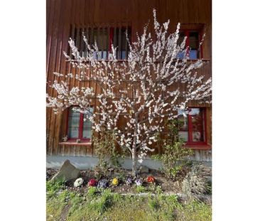 5 Zimmer, 150 m², 2. Stock - Foto 5