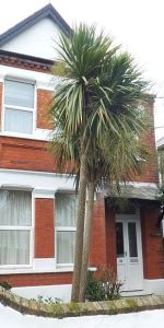 Wynn Road, Tankerton, Whitstable, CT5 2JP, Kent - Photo 3