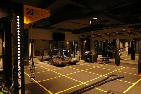 true Studio Plus - Photo 2