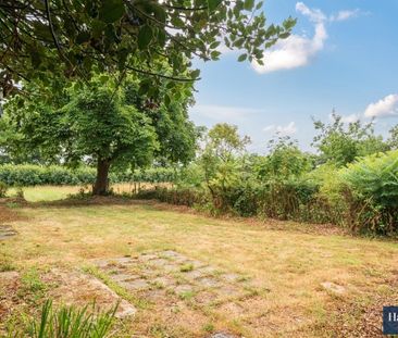 3 bedroom cottage to rent - Photo 4