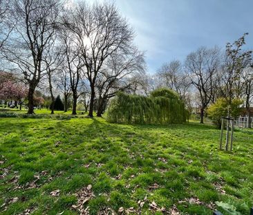 Studio Flat, Victoria Park, M14 - Photo 6