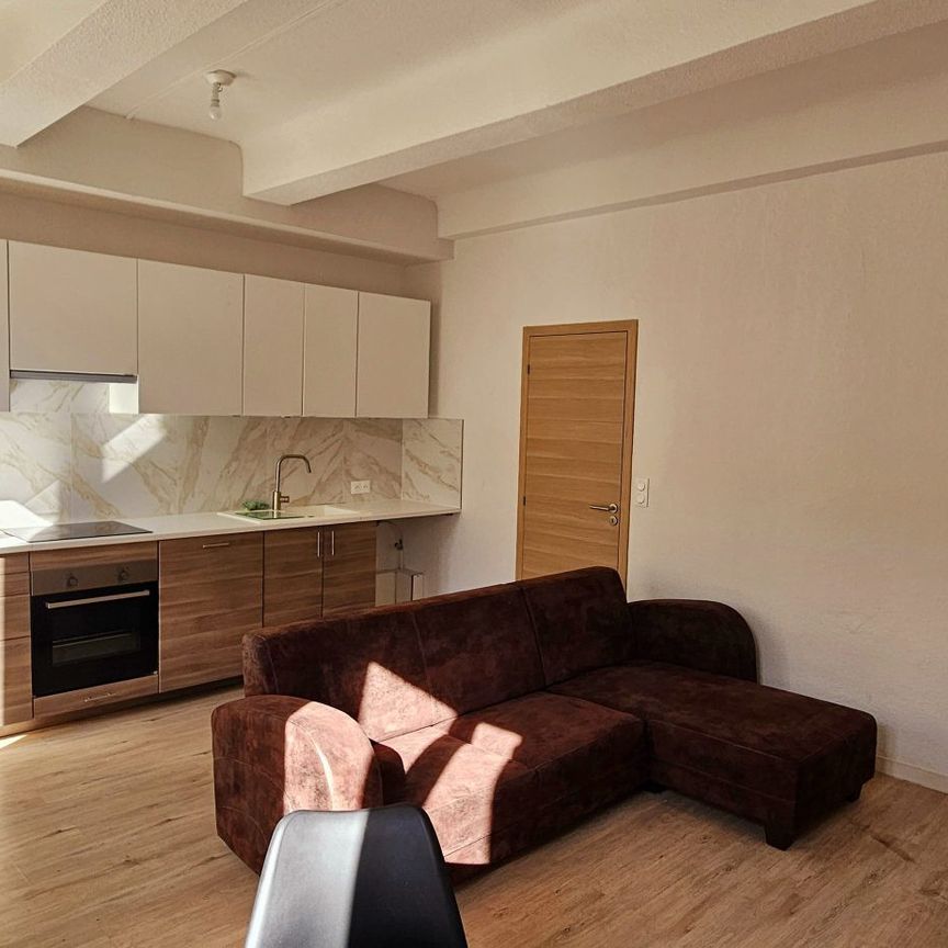 Location Appartement 2 pièces 47m² GONFARON 83590 - Photo 1