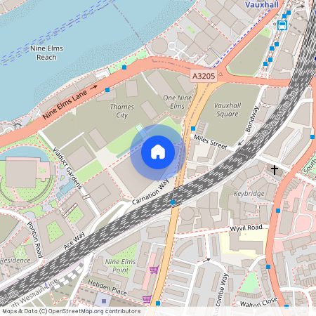 Carnation Way, N9, SW8