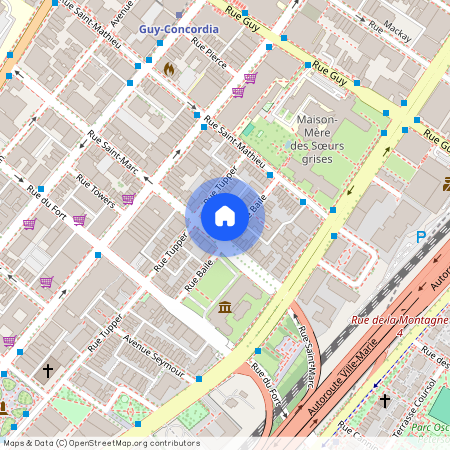 1225 Saint Marc Street, Montréal, QC
