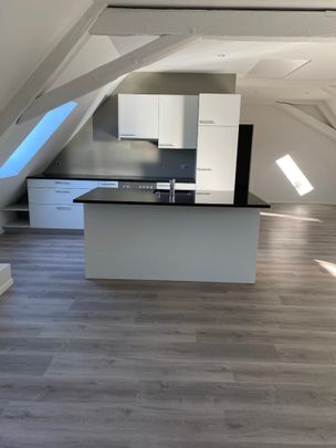 Magnifique appartement en duplex dans un quartier calme au bord de la rivière - Photo 1