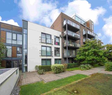 Ivy Exchange, Parnell Street, Dublin 1 - Photo 6