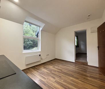 Flat 5, Arboretum Road, WS1, Walsall - Photo 4