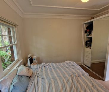 Paddington - Photo 6