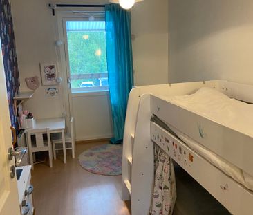 Palanders väg, Vega - Foto 5