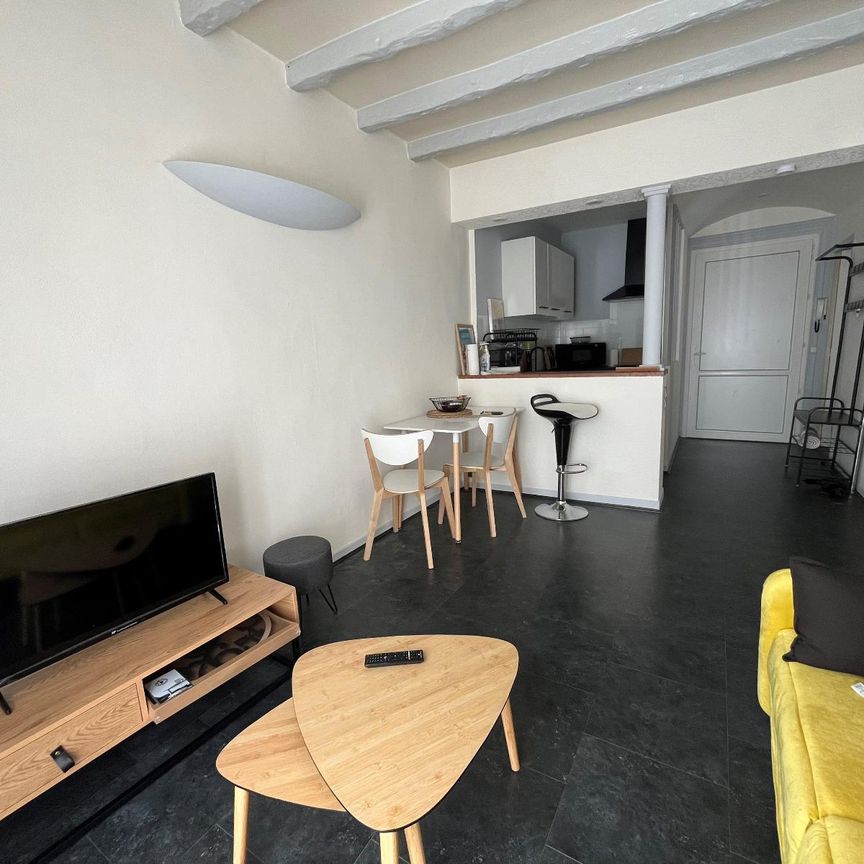 Location Appartement 2 pièces 36m² CASTRES 81100 - Photo 1