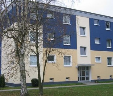 Celle - Neues Land 9b - Photo 2