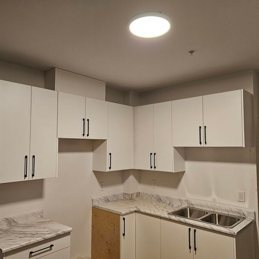Suite in Auguston! - Photo 1