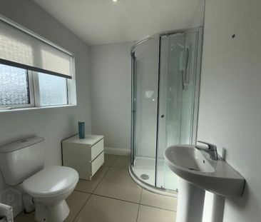 134 Raceview Road, Ballymena, BT42 4HY - Photo 4