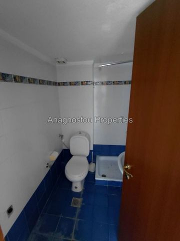 Studio/Γκαρσονιέρα για ενοικίαση Καλλιθέα - Άγιοι Θεόδωροι (Συκιές) - Photo 2