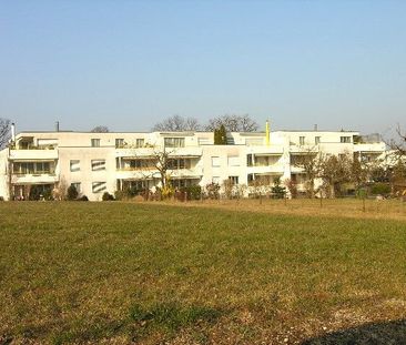 Luminous 3.5-room apartment in Kölliken - Foto 6