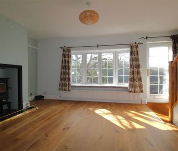 Clay Park, Byter Mill Lane, Stoke Gab..., Totnes - Photo 4