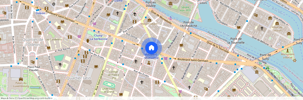 Rue Lagrange, entre Boulevard Saint Germain et Quai Montebello 75005 Paris (5e arrondissement)