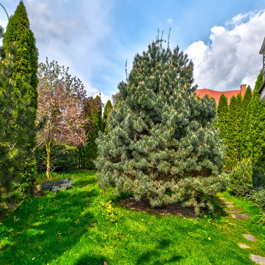Po remoncie wolnostojący dom Wawer-ul Strzygłowska - Photo 1