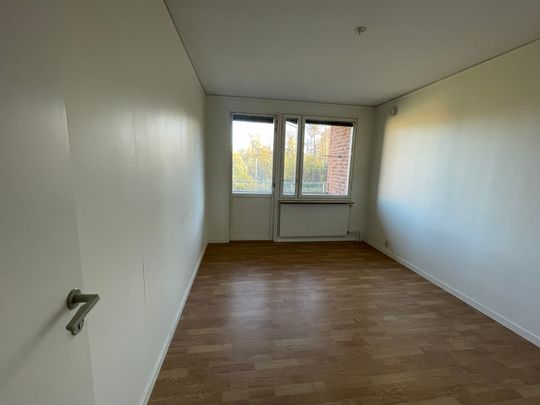 Storgatan, Sollefteå - Photo 1