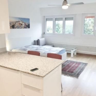 Appartement de 2 Pièces | Cœur de Genève - Photo 1