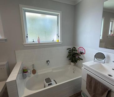 Pet Friendly - Photo 6