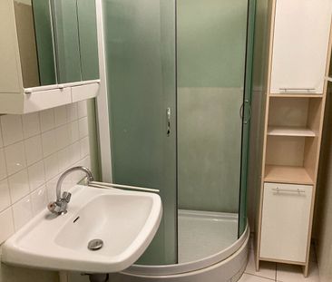 Location Appartement 2 pièces 46m² - Photo 3