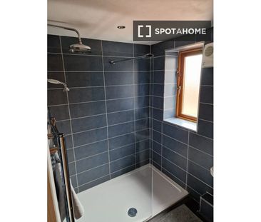 Studio for rent in Chapelizod, Dublin - Photo 6