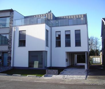 Duplex te huur - Photo 6
