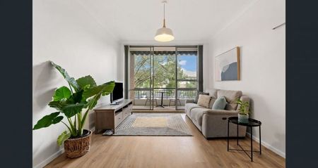 Sun-Filled, Renovated Apartment Just Steps from the Bay - Photo 2