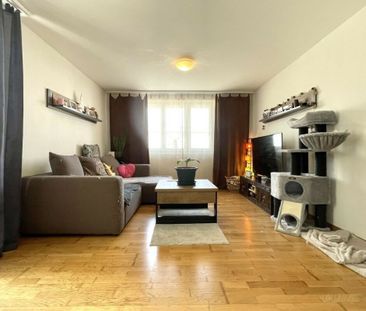 Appartement de 2.5 pièces au Rez à CHF 1'350.00 charges comprises - Photo 1