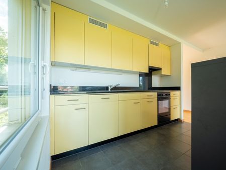 Superb penthouse apartment in Avenches! - Photo 4