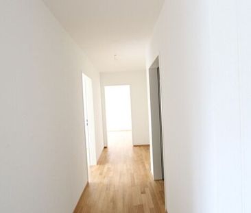 SCHÖN GEPFLEGTES WOHNQUARTIER IN BRUGG - Photo 1