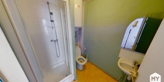 Appartement • Location • 22m2 • Gaillard • Clermont-Ferrand - Photo 3