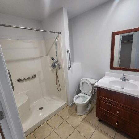 1 CH - 1 SDB - Montréal - $1,195 /mo - Photo 4