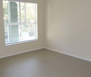 all new appliances new floor one bedroom apartment Maple Ridge - Photo 2