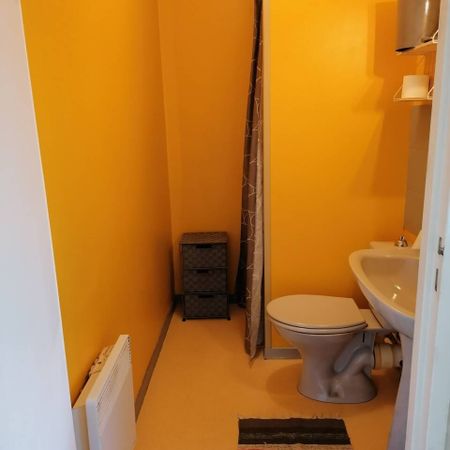Studio meublé 21 m² Jardin des Plantes, Clémenceau - Photo 3